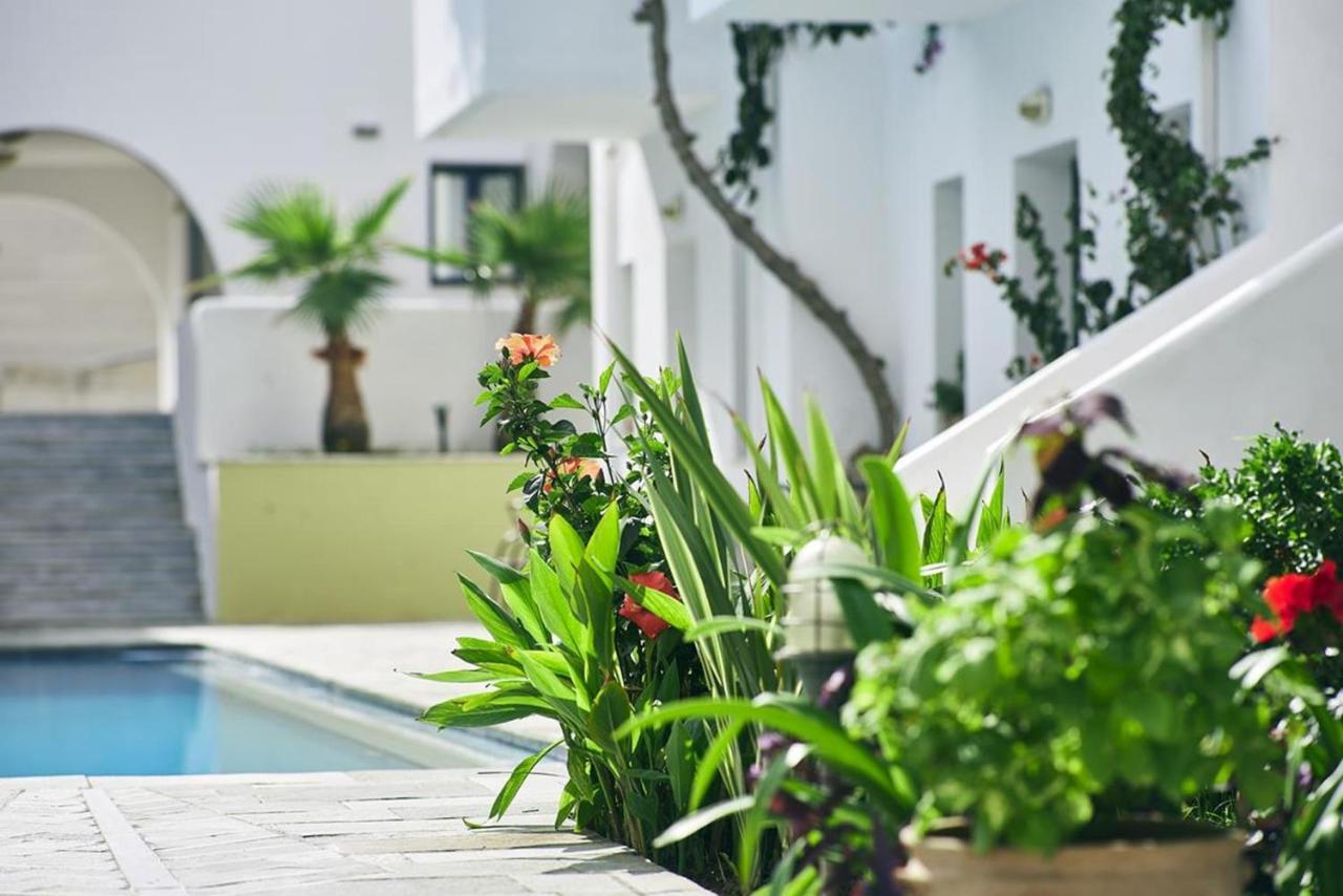 Eva Suites & Apartments Agia Marina エクステリア 写真